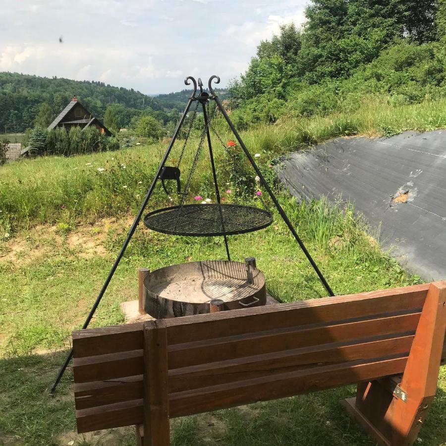Chalet Zlota Rybka Nad Jeziorem Solinskim Zawoz