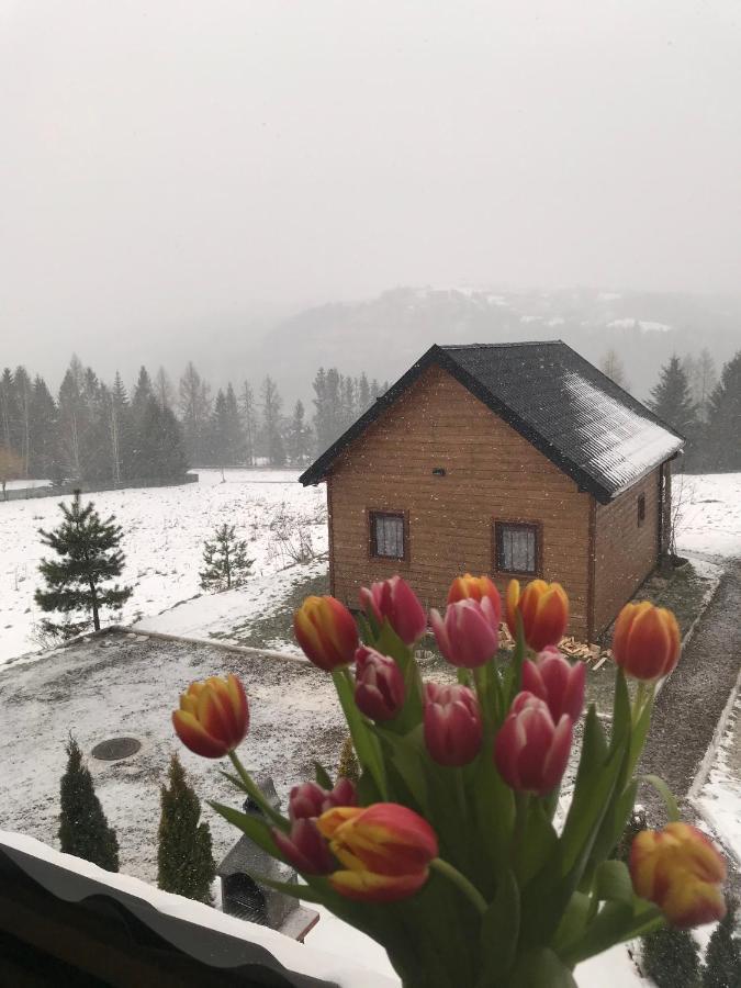 Chalet Zlota Rybka Nad Jeziorem Solinskim *