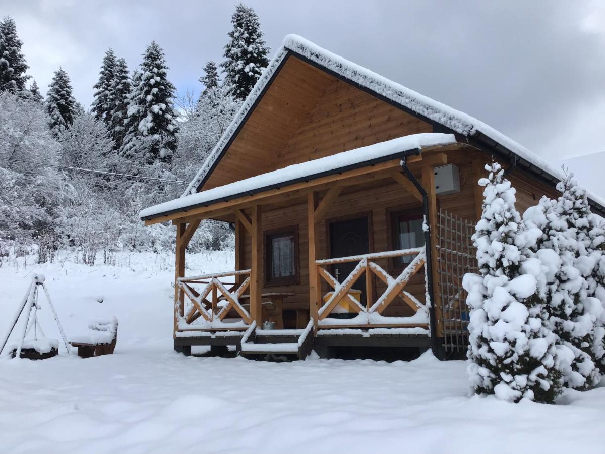 Zlota Rybka Nad Jeziorem Solinskim Chalet *