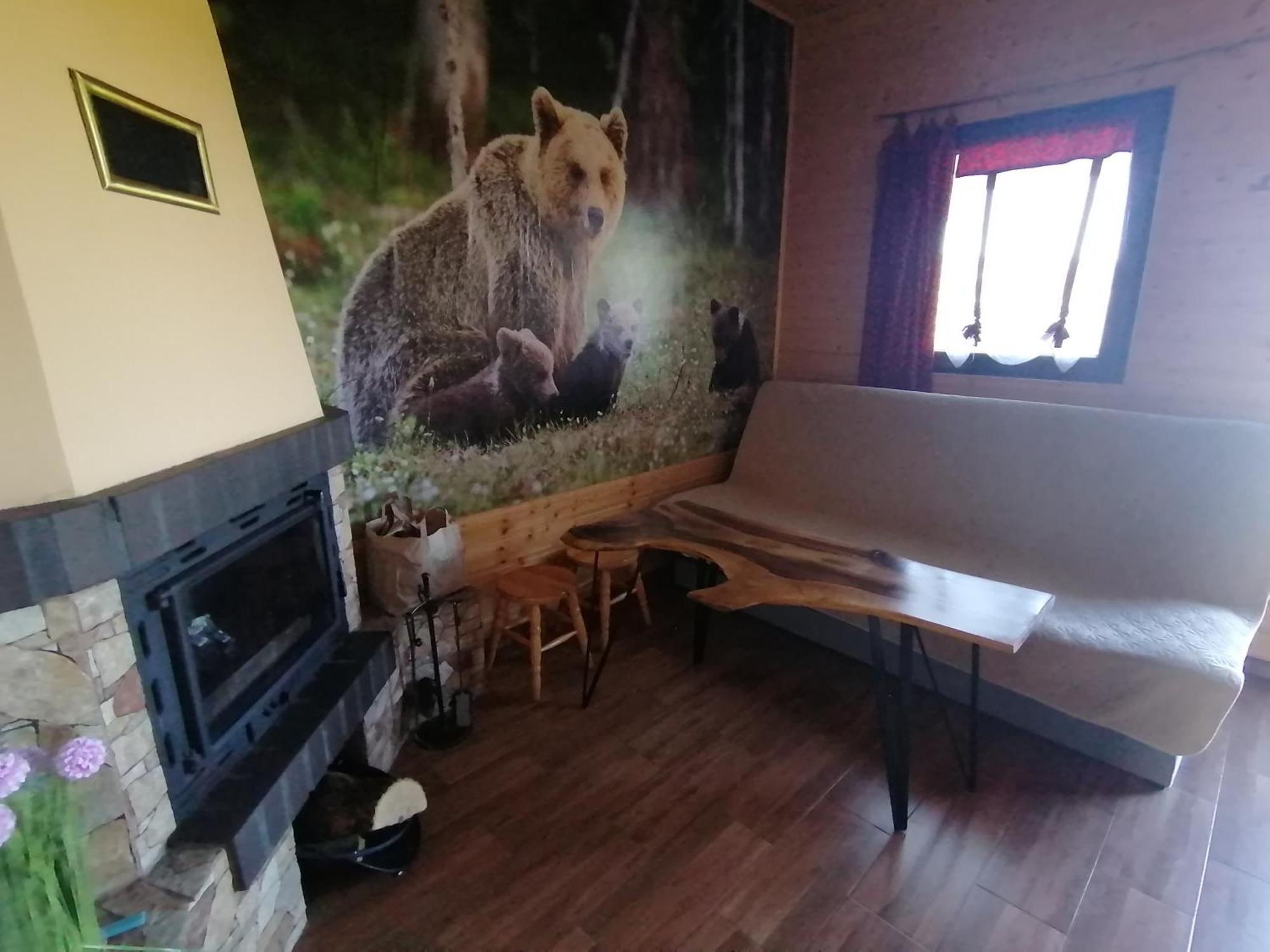 Zlota Rybka Nad Jeziorem Solinskim Chalet