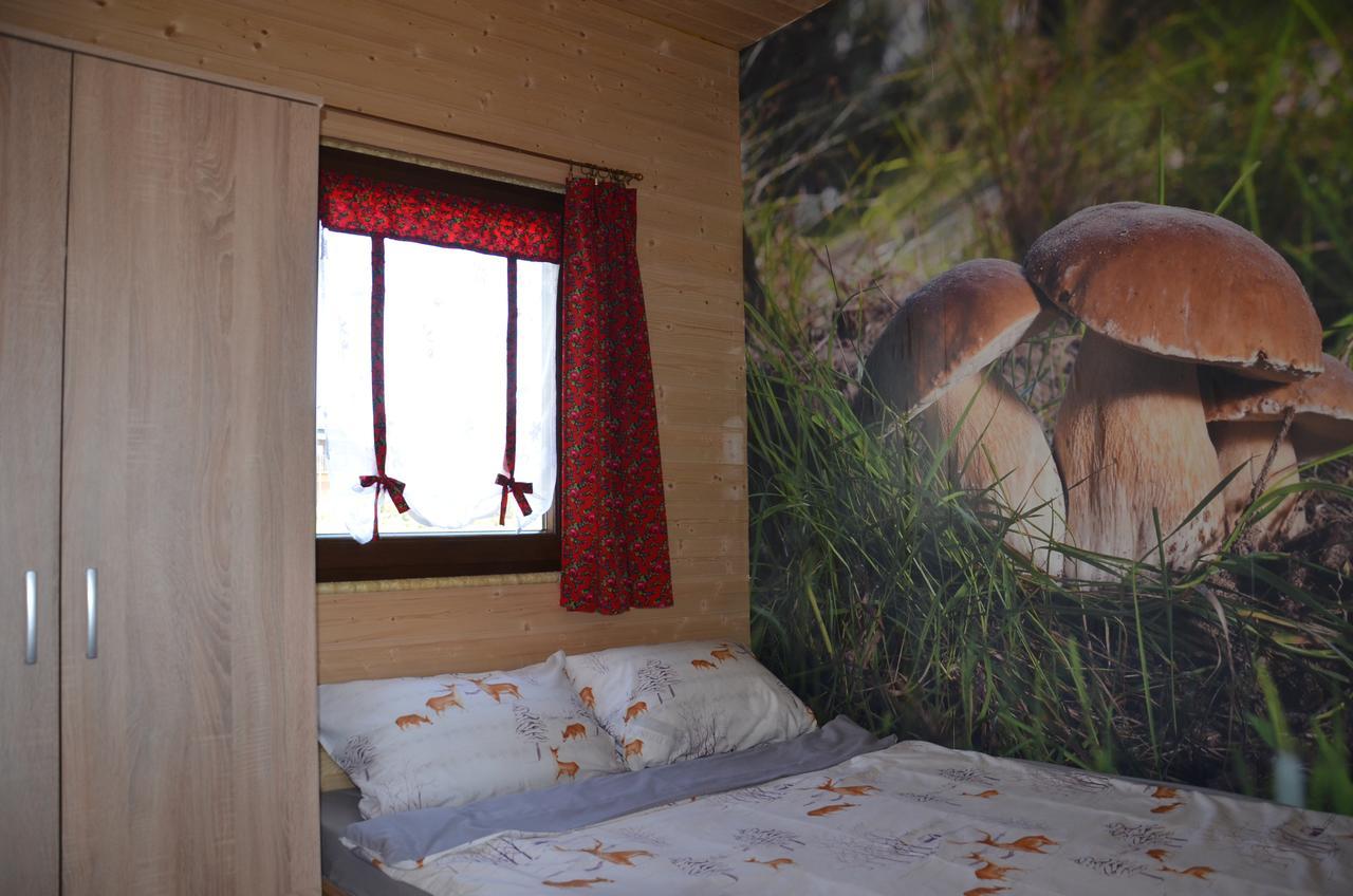 Chalet Zlota Rybka Nad Jeziorem Solinskim *